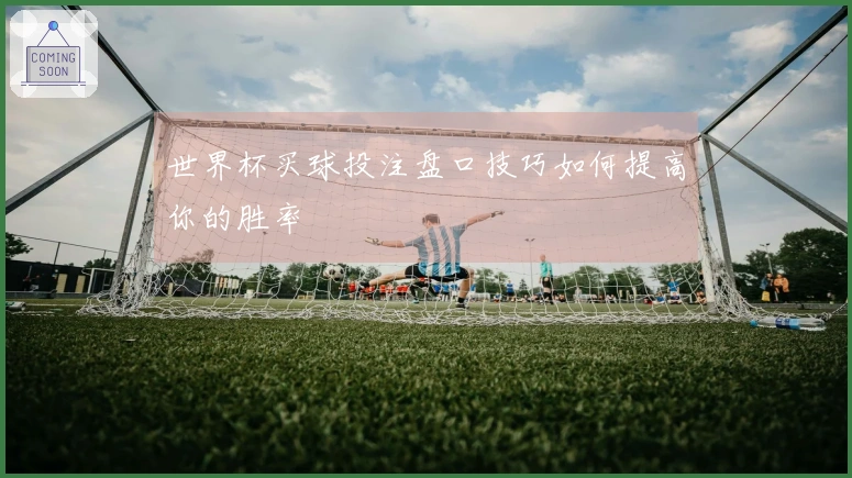 世界杯买球投注盘口技巧如何提高你的胜率