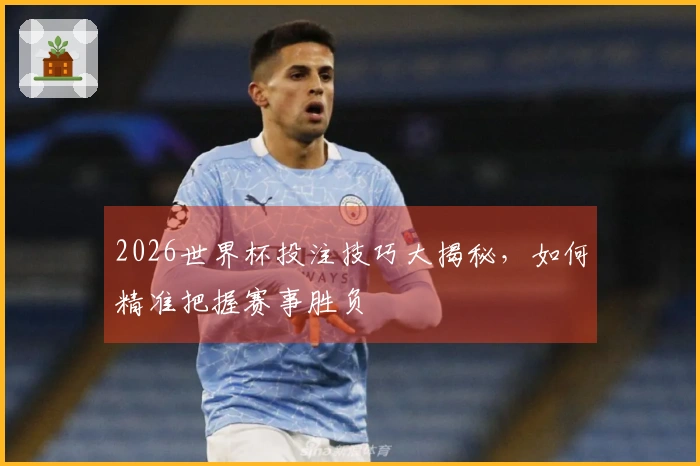 2026世界杯投注技巧大揭秘，如何精准把握赛事胜负