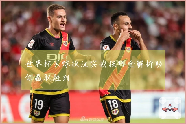世界杯买球投注实战技巧全解析助你赢取胜利